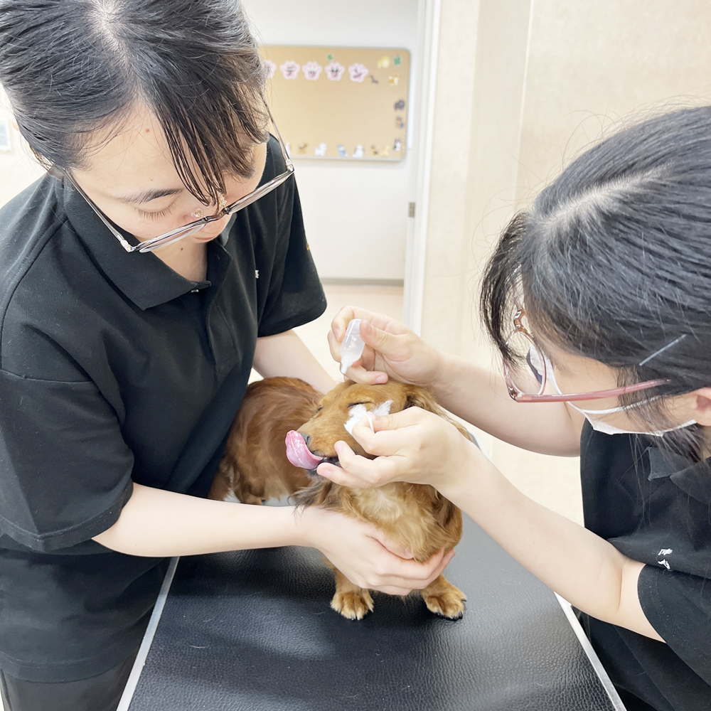 ２年生の看護実習